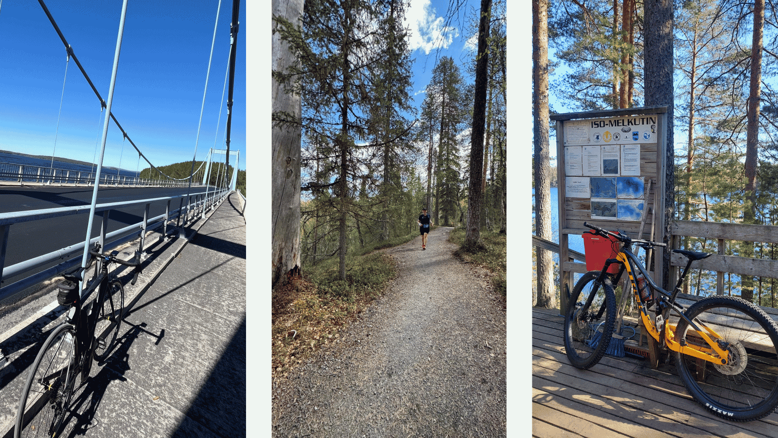 Logent Health and wellbeing challenge | Logents hälsoutmaning